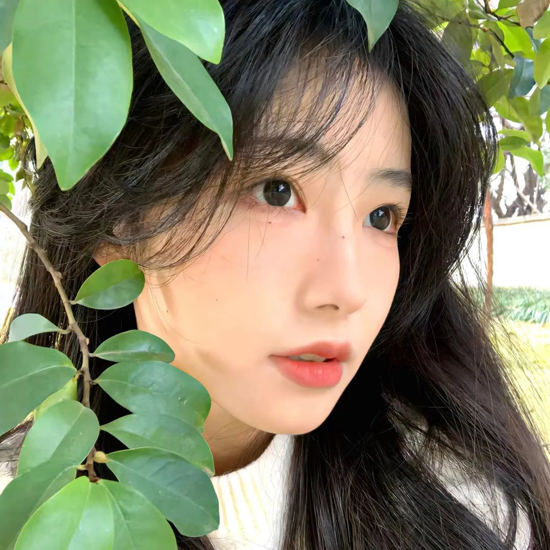 大阴谋